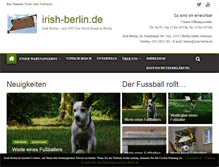 Tablet Screenshot of irish-berlin.de